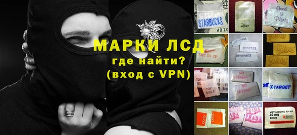 мет Касимов