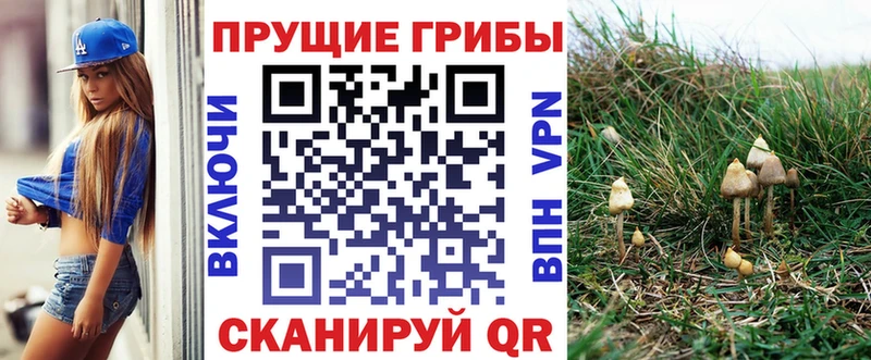 Галлюциногенные грибы Cubensis  цены   Кинешма 