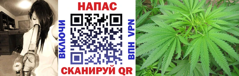 Бошки марихуана конопля  МЕГА онион  Кинешма 